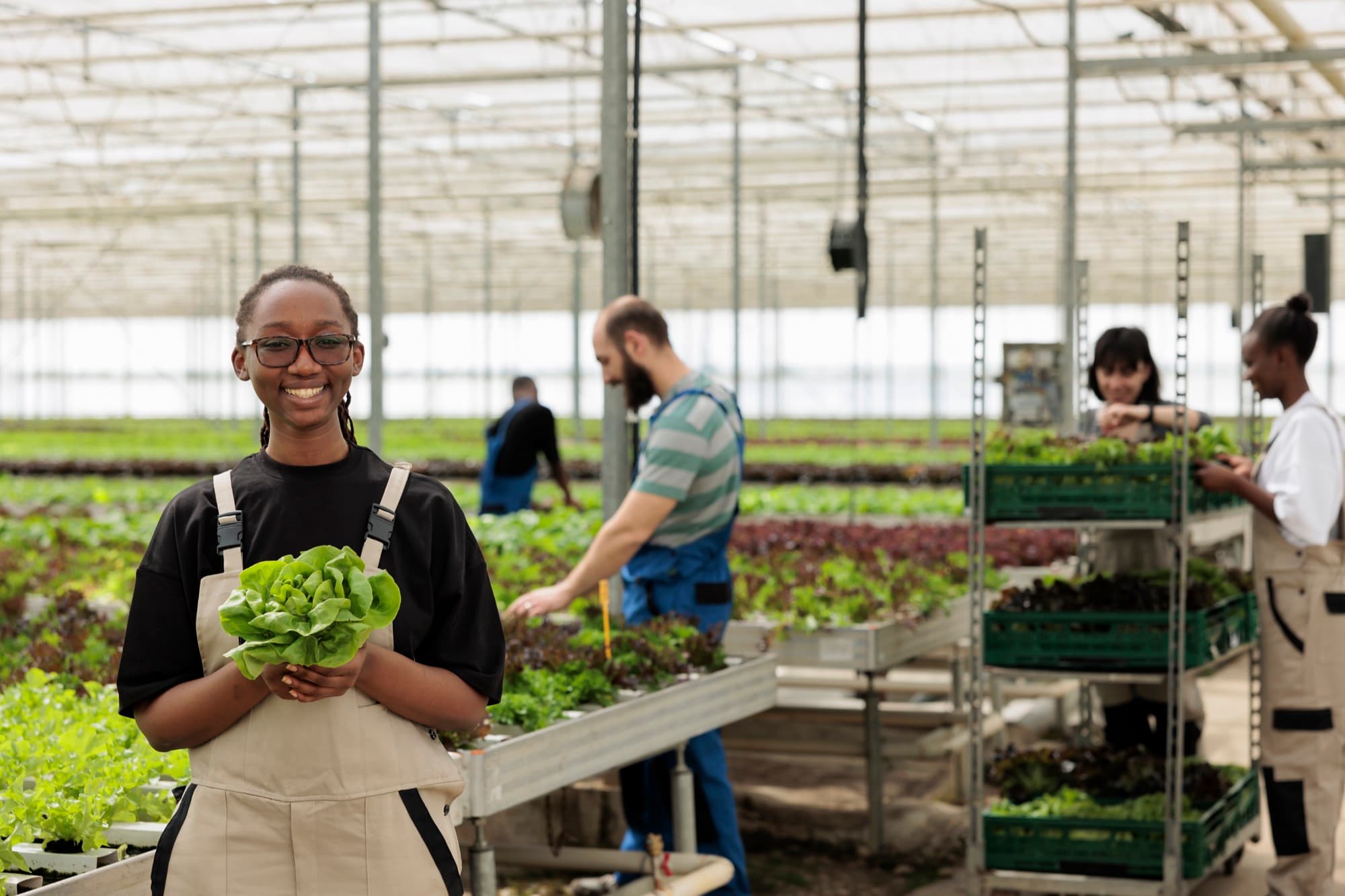 Farm workers harvesting fresh produce in a modern greenhouse